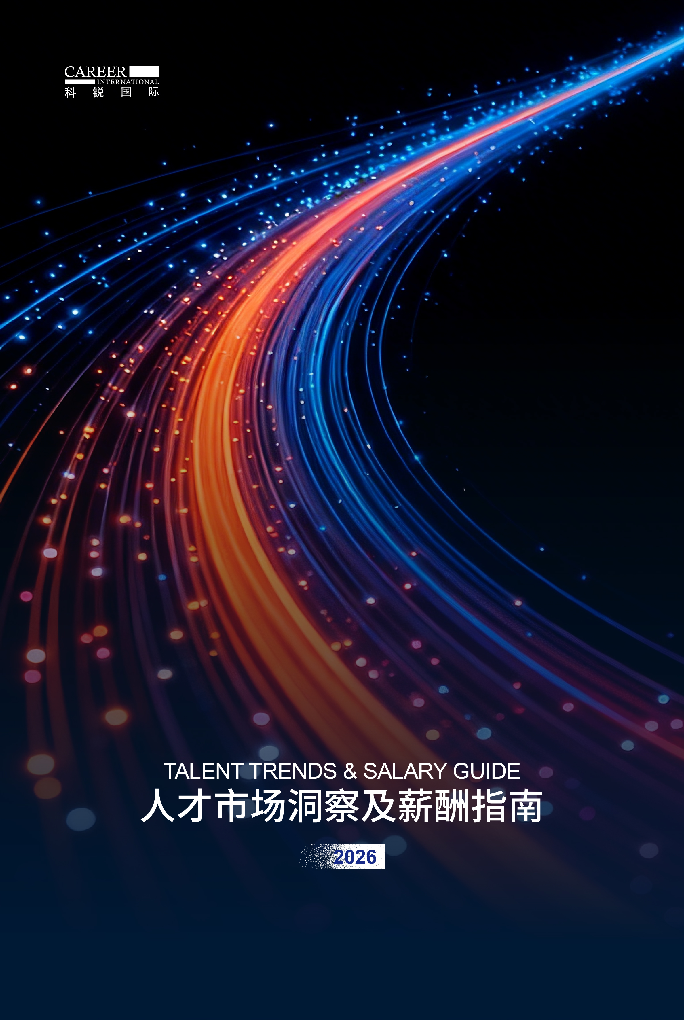 2026赢元素国际人才市场洞察及薪酬指南